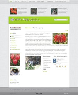 Echidna Springs